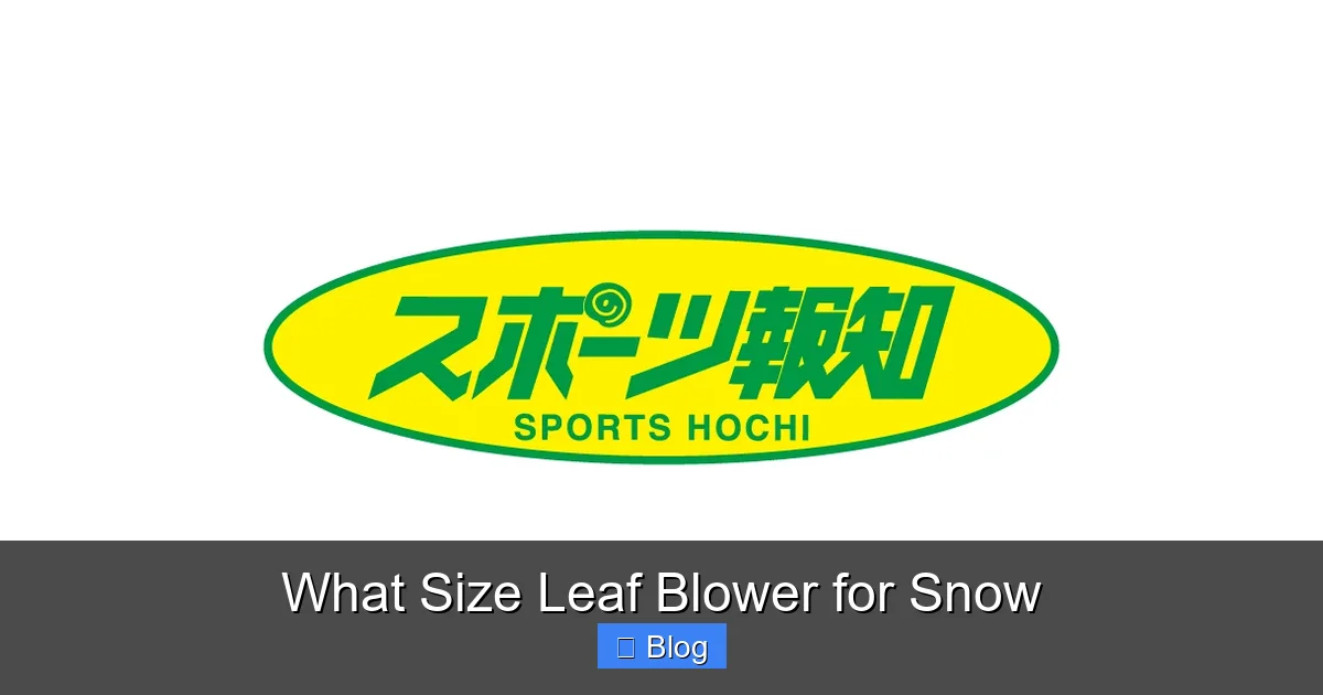 What Size Leaf Blower for Snow