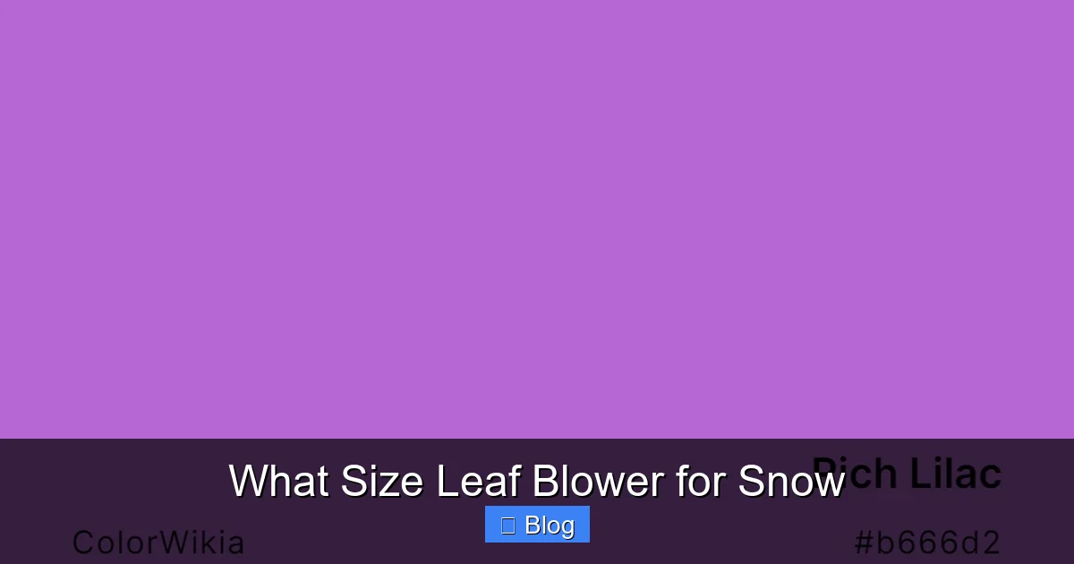 What Size Leaf Blower for Snow