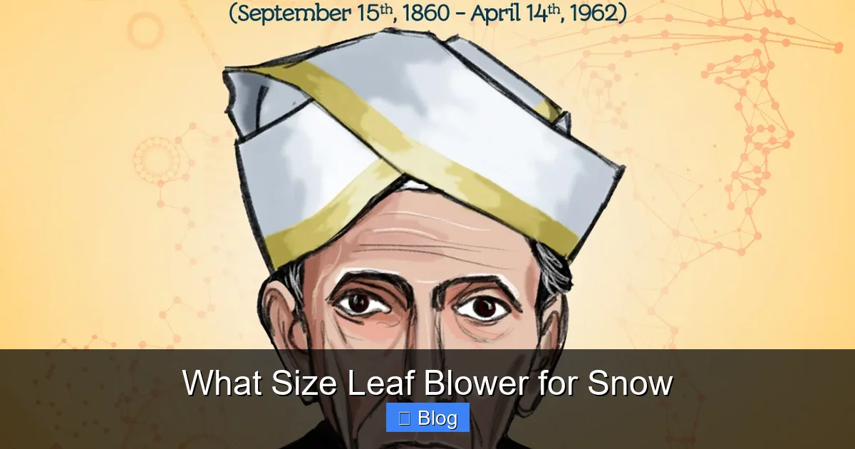 What Size Leaf Blower for Snow