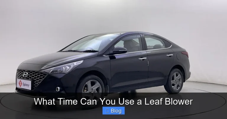 What Time Can You Use a Leaf Blower