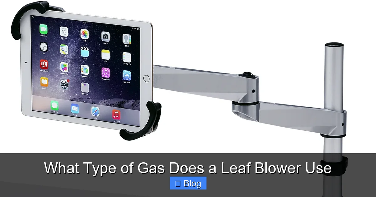 What Type of Gas Does a Leaf Blower Use