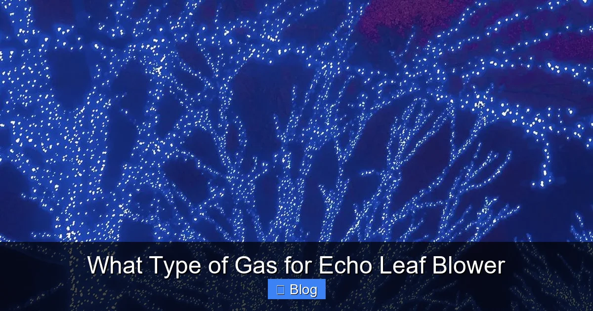 What Type of Gas for Echo Leaf Blower