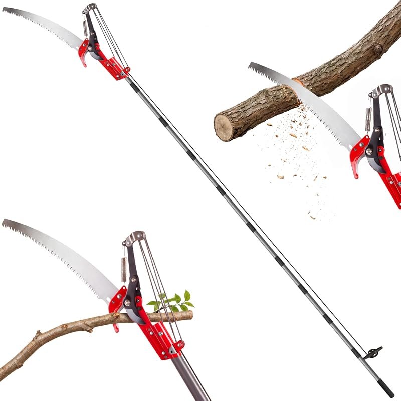 2-in-1 Pole Saw